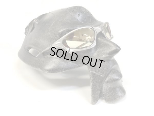 画像10: ペニー NXT®調光レンズ ゴールドヴァリア