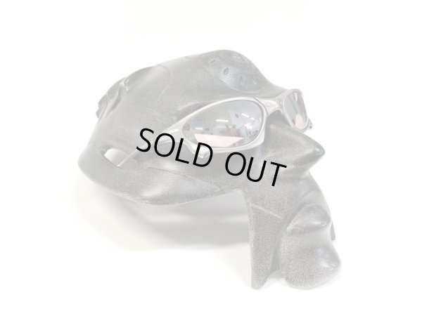 画像10: ペニー NXT®調光レンズ フラッシュコパー