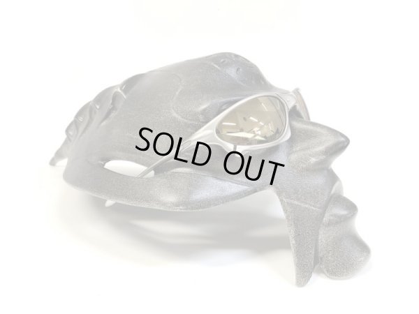 画像11: ペニー NXT®調光レンズ ゴールドヴァリア