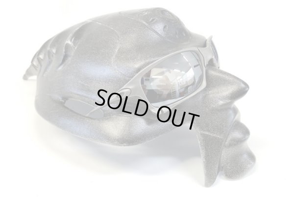 画像14: X-SQUARED  NXT®偏光レンズ フラッシュブラック