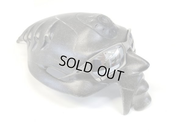 画像13: X-SQUARED  NXT®偏光レンズ フラッシュブラック