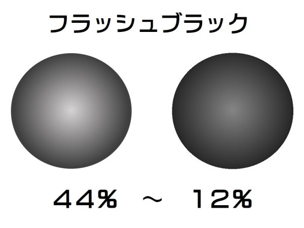 画像2: NXT RX偏光調光レンズ　（度付レンズ）