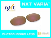 X-METAL XX NXT®調光レンズ ピンキーゴールド