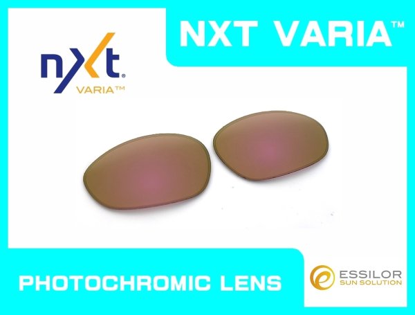 画像1: X-METAL XX NXT®調光レンズ ピンキーゴールド