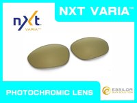 X-METAL XX NXT®調光レンズ ゴールドヴァリア
