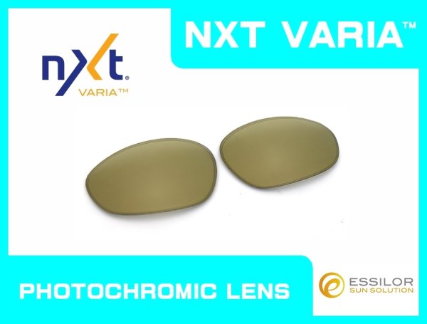 画像1: X-METAL XX NXT®調光レンズ ゴールドヴァリア