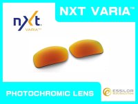 X-SQUARED NXT®調光レンズ ファイア　