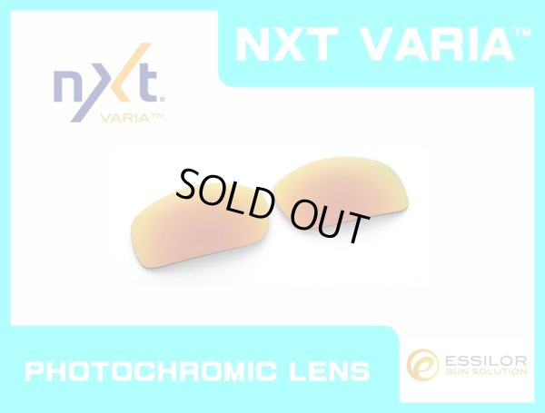 画像1: X-SQUARED NXT®調光レンズ ファイア　