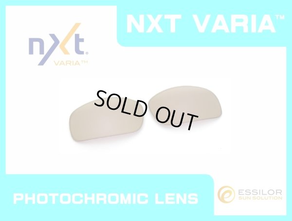 画像1: X-SQUARED NXT®調光レンズ ピンキーゴールド