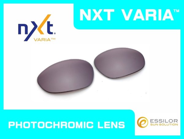 画像1: X-METAL XX NXT®調光レンズ フラッシュコパー