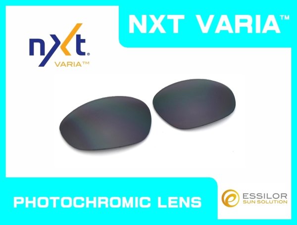 画像1: X-METAL XX  NXT®調光レンズ フラッシュブラック