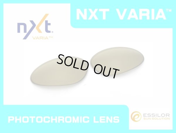画像1: ペニー NXT®調光レンズ ゴールドヴァリア