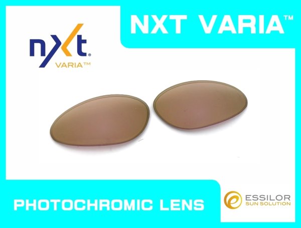 画像1: ペニー NXT®調光レンズ サンセットローズ