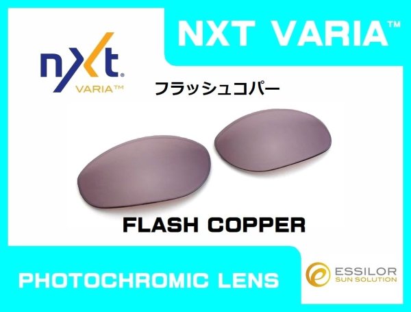 画像8: モンスタードッグ NXT®調光レンズ