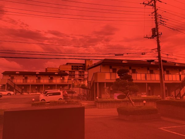 画像6: Cyclops Prism Red Lenses