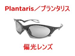 プランタリス 偏光レンズ