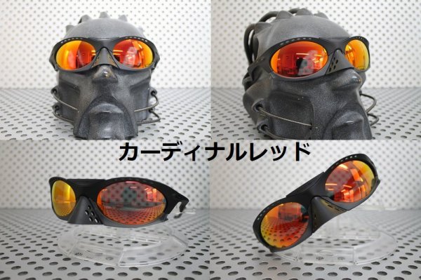 画像14: プランタリス ノーマルレンズ(偏光なし)