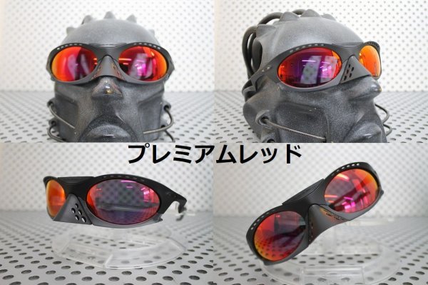 画像8: プランタリス 偏光レンズ