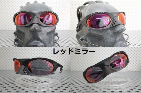 画像12: プランタリス 偏光レンズ