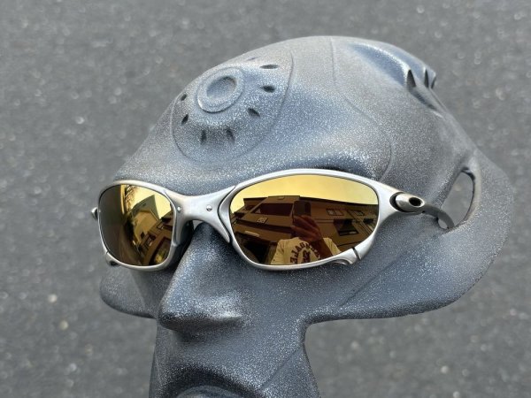 画像16: ジュリエット NXT®調光レンズ　サンセットローズ