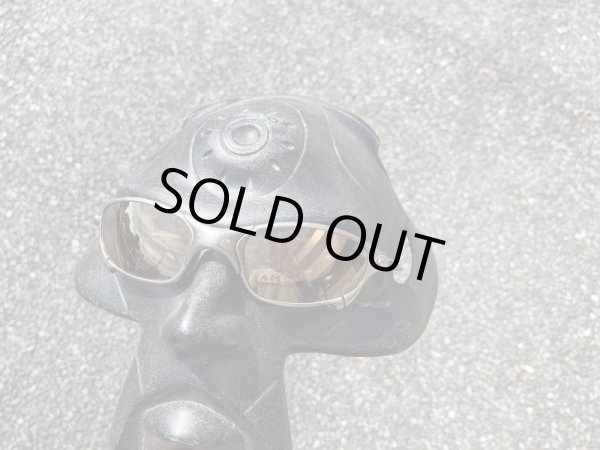 画像10: NXT®調光レンズ ピンキーゴールド (10)