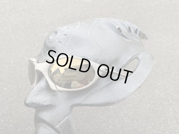 画像11: ロメオ1 NXT®調光レンズ ゴールドヴァリア (11)