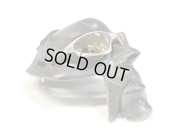 画像9: ペニー NXT®調光レンズ ピンキーゴールド (9)