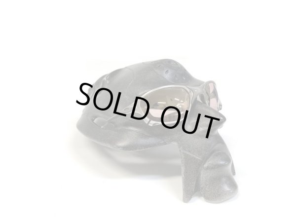 画像14: X-METAL XX NXT®調光レンズ ピンキーゴールド (14)