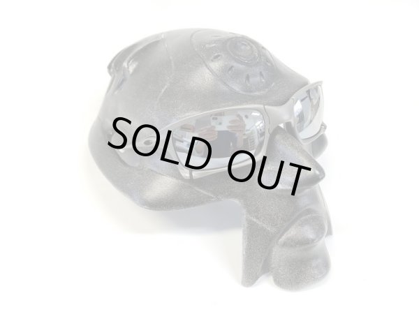 画像12: X-SQUARED  NXT®偏光レンズ フラッシュブラック (12)