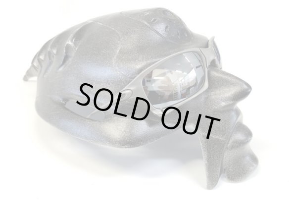 画像14: X-SQUARED  NXT®偏光レンズ フラッシュブラック (14)