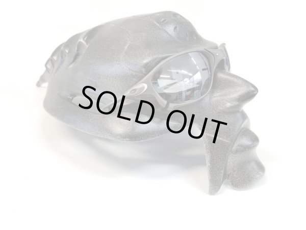 画像6: X-METAL XX  NXT®偏光レンズ フラッシュブラック (6)