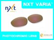 画像1: X-METAL XX NXT®調光レンズ ピンキーゴールド (1)