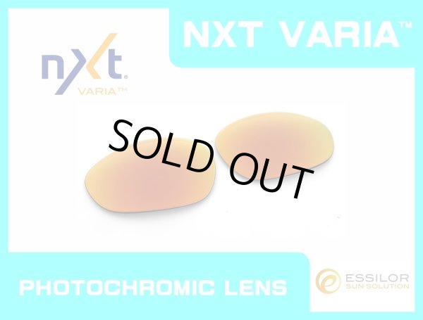画像1: X-METAL XX NXT®調光レンズ ファイア　 (1)