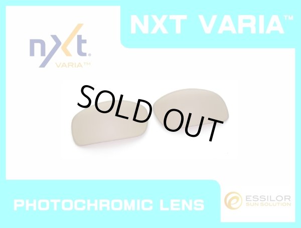 画像1: X-SQUARED NXT®調光レンズ ピンキーゴールド (1)