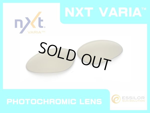 画像1: ペニー NXT®調光レンズ ゴールドヴァリア (1)