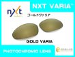 画像8: 第1世代 初期レーシングジャケット NXT®調光レンズ (8)