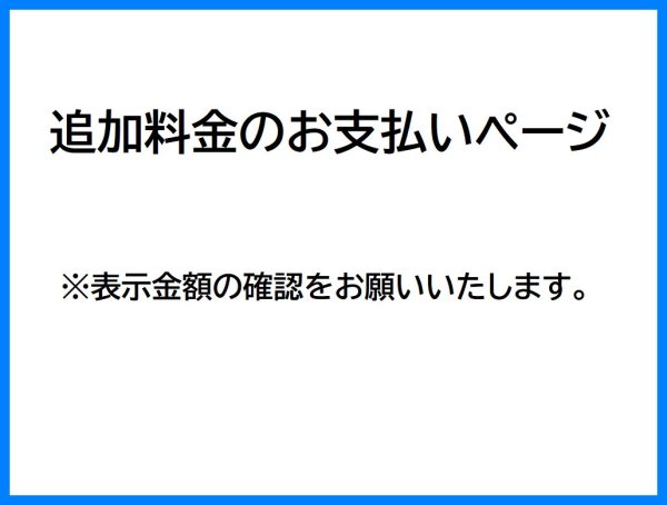 画像1: 追加料金のお支払いページ (1)