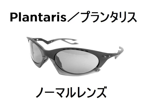 画像1: プランタリス ノーマルレンズ(偏光なし) (1)