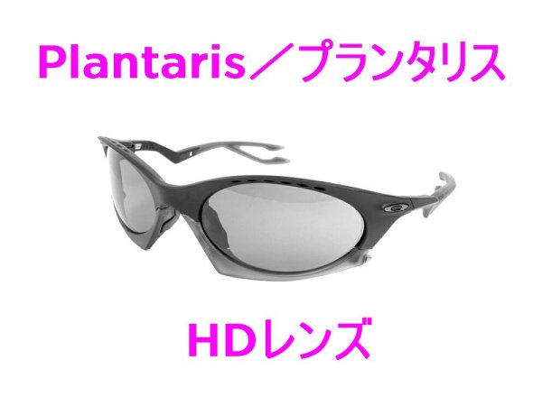画像1: プランタリス HDレンズ (1)