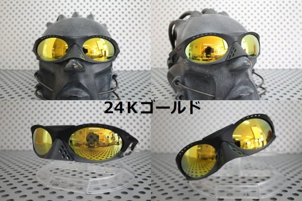 画像6: プランタリス 偏光レンズ (6)