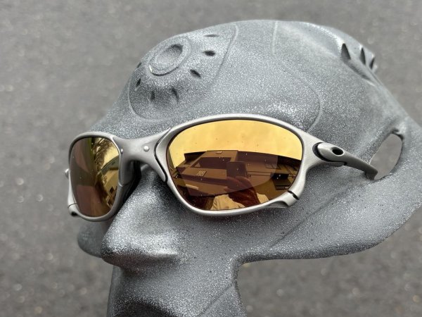 画像15: X-METAL XX NXT®調光レンズ サンセットローズ (15)