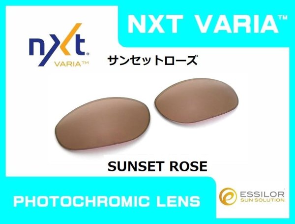 画像6: モンスタードッグ NXT®調光レンズ (6)