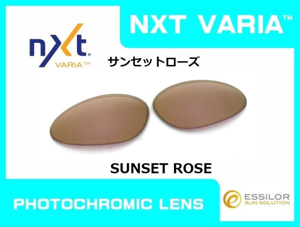 画像6: プレート NXT®調光レンズ (6)