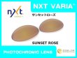画像6: プランタリス NXT®調光レンズ (6)