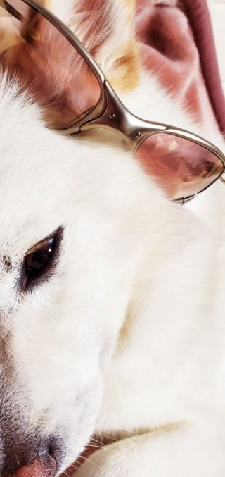 レビュー734-投稿画像3